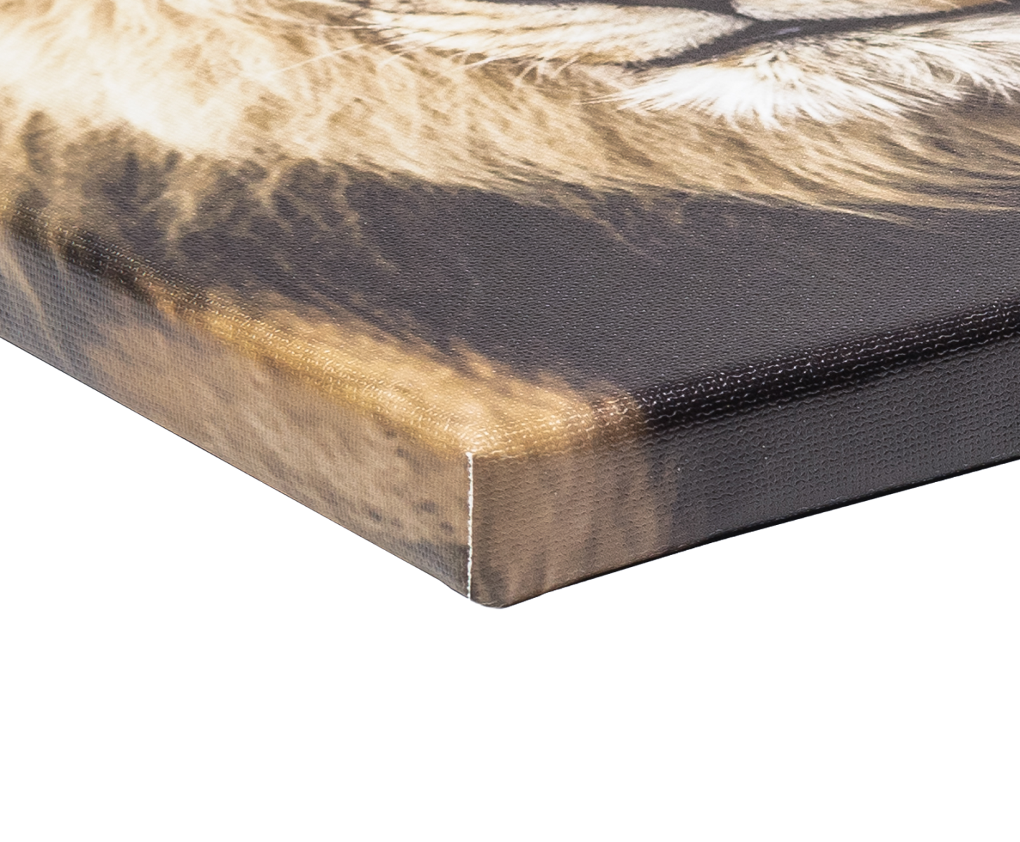 close up canvas materiaal